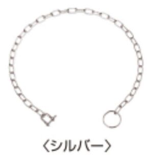 【バラ単位】ポケットチェーンSP型